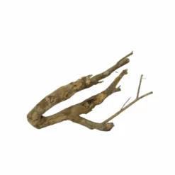 L Talawa Wurzel Nr.7404 -Haus Dekoration Verkaufsgeschäft L Talawa Wurzel Nr 7403 7404 2 31145