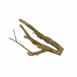 L Talawa Wurzel Nr.7404 -Haus Dekoration Verkaufsgeschäft L Talawa Wurzel Nr 7403 7404 3 31145