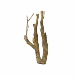 L Talawa Wurzel Nr.7404 -Haus Dekoration Verkaufsgeschäft L Talawa Wurzel Nr 7403 7404 4 31145