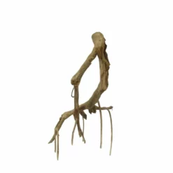 L Talawa Wurzel Nr.7410