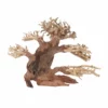 M Bonsai Baum Nr.10544 Wurzel Holz Aquarium Deko Aquascaping