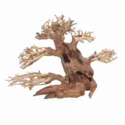 M Bonsai Baum Nr.10544 Wurzel Holz Aquarium Deko Aquascaping -Haus Dekoration Verkaufsgeschäft M Bonsai Baum Nr 10543 Wurzel Holz Aquarium Deko Aquascaping 10544 2 29841