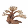 M Bonsai Baum Nr.10555 Wurzel Holz Aquarium Deko Aquascaping