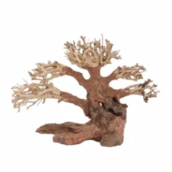 M Bonsai Baum Nr.10555 Wurzel Holz Aquarium Deko Aquascaping -Haus Dekoration Verkaufsgeschäft M Bonsai Baum Nr 10554 Wurzel Holz Aquarium Deko Aquascaping 10555 2 29852