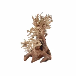 M Bonsai Baum Nr.10555 Wurzel Holz Aquarium Deko Aquascaping -Haus Dekoration Verkaufsgeschäft M Bonsai Baum Nr 10554 Wurzel Holz Aquarium Deko Aquascaping 10555 3 29852