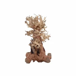 M Bonsai Baum Nr.10555 Wurzel Holz Aquarium Deko Aquascaping -Haus Dekoration Verkaufsgeschäft M Bonsai Baum Nr 10554 Wurzel Holz Aquarium Deko Aquascaping 10555 4 29852