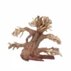 M Bonsai Baum Nr.10556 Wurzel Holz Aquarium Deko Aquascaping