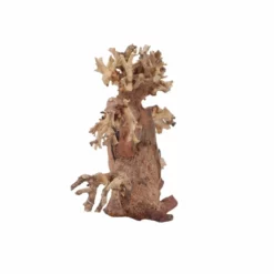 M Bonsai Baum Nr.10556 Wurzel Holz Aquarium Deko Aquascaping -Haus Dekoration Verkaufsgeschäft M Bonsai Baum Nr 10555 Wurzel Holz Aquarium Deko Aquascaping 10556 4 29853