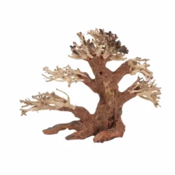 M Bonsai Baum Nr.10558 Wurzel Holz Aquarium Deko Aquascaping -Haus Dekoration Verkaufsgeschäft M Bonsai Baum Nr 10557 Wurzel Holz Aquarium Deko Aquascaping 10558 2 29855