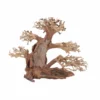 M Bonsai Baum Nr.10573 Wurzel Holz Aquarium Deko Aquascaping