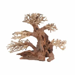 M Bonsai Baum Nr.10573 Wurzel Holz Aquarium Deko Aquascaping -Haus Dekoration Verkaufsgeschäft M Bonsai Baum Nr 10572 Wurzel Holz Aquarium Deko Aquascaping 10573 2 29870