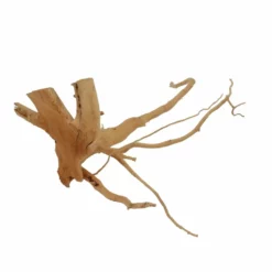 M Moorkienwurzel Nr.2586 Holz Deko Aquascaping -Haus Dekoration Verkaufsgeschäft M Moorkienwurzel Nr 2585 Fingerwurzel Echtholz Deko Aquascaping 2586 2 25462