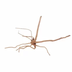 M Moorkienwurzel Nr.6368 Holz Deko Aquascaping -Haus Dekoration Verkaufsgeschäft M Moorkienwurzel Nr 6368 Fingerwurzel Echtholz Deko Aquascaping 6368 2 29923