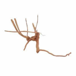 M Moorkienwurzel Nr.6375 Holz Deko Aquascaping -Haus Dekoration Verkaufsgeschäft M Moorkienwurzel Nr 6374 Fingerwurzel Echtholz Deko Aquascaping 6375 3 29930