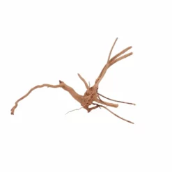 M Moorkienwurzel Nr.6375 Holz Deko Aquascaping -Haus Dekoration Verkaufsgeschäft M Moorkienwurzel Nr 6374 Fingerwurzel Echtholz Deko Aquascaping 6375 4 29930