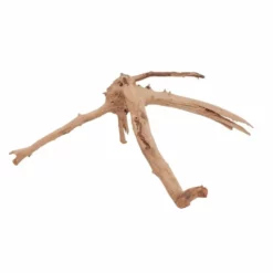 M Moorkienwurzel Nr.6380 Holz Deko Aquascaping -Haus Dekoration Verkaufsgeschäft M Moorkienwurzel Nr 6379 Fingerwurzel Echtholz Deko Aquascaping 6380 3 29935