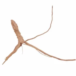 M Moorkienwurzel Nr.6381 Holz Deko Aquascaping