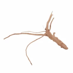 M Moorkienwurzel Nr.6381 Holz Deko Aquascaping -Haus Dekoration Verkaufsgeschäft M Moorkienwurzel Nr 6380 Fingerwurzel Echtholz Deko Aquascaping 6381 3 29936