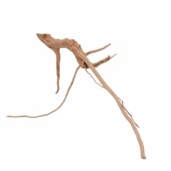 M Moorkienwurzel Nr.6381 Holz Deko Aquascaping -Haus Dekoration Verkaufsgeschäft M Moorkienwurzel Nr 6380 Fingerwurzel Echtholz Deko Aquascaping 6381 4 29936