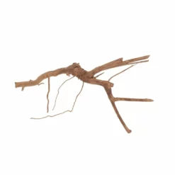 M Moorkienwurzel Nr.6396 Holz Deko Aquascaping