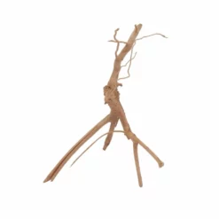 M Moorkienwurzel Nr.6396 Holz Deko Aquascaping -Haus Dekoration Verkaufsgeschäft M Moorkienwurzel Nr 6395 Fingerwurzel Echtholz Deko Aquascaping 6396 3 29953