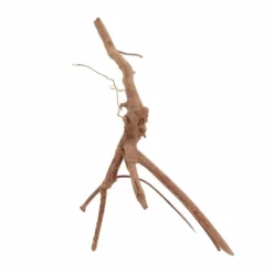 M Moorkienwurzel Nr.6396 Holz Deko Aquascaping -Haus Dekoration Verkaufsgeschäft M Moorkienwurzel Nr 6395 Fingerwurzel Echtholz Deko Aquascaping 6396 4 29953