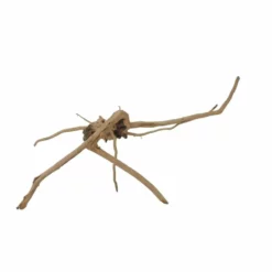 M Moorkienwurzel Nr.7324 Holz Deko Aquascaping -Haus Dekoration Verkaufsgeschäft M Moorkienwurzel Nr 7323 Holz Deko Aquascaping 7324 2 31065