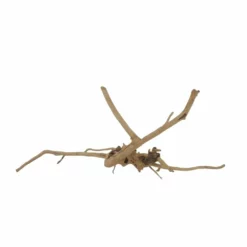 M Moorkienwurzel Nr.7324 Holz Deko Aquascaping -Haus Dekoration Verkaufsgeschäft M Moorkienwurzel Nr 7323 Holz Deko Aquascaping 7324 4 31065