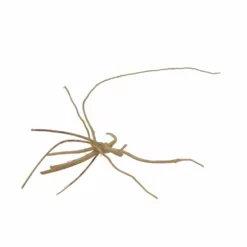 M Moorkienwurzel Nr.7327 Holz Deko Aquascaping -Haus Dekoration Verkaufsgeschäft M Moorkienwurzel Nr 7326 Holz Deko Aquascaping 7327 2 31068