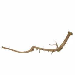 M Moorkienwurzel Nr.7328 Holz Deko Aquascaping -Haus Dekoration Verkaufsgeschäft M Moorkienwurzel Nr 7327 Holz Deko Aquascaping 7328 4 31069