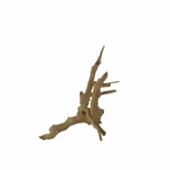 M Moorkienwurzel Nr.7329 Holz Deko Aquascaping -Haus Dekoration Verkaufsgeschäft M Moorkienwurzel Nr 7328 Holz Deko Aquascaping 7329 4 31070