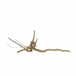 M Moorkienwurzel Nr.7330 Holz Deko Aquascaping -Haus Dekoration Verkaufsgeschäft M Moorkienwurzel Nr 7329 Holz Deko Aquascaping 7330 4 31071