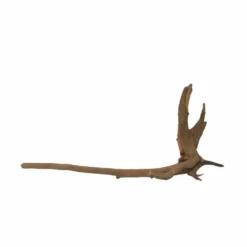 M Moorkienwurzel Nr.7332 Holz Deko Aquascaping -Haus Dekoration Verkaufsgeschäft M Moorkienwurzel Nr 7331 Holz Deko Aquascaping 7332 3 31073