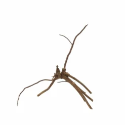 M Moorkienwurzel Nr.7335 Holz Deko Aquascaping