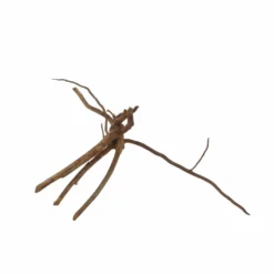 M Moorkienwurzel Nr.7335 Holz Deko Aquascaping -Haus Dekoration Verkaufsgeschäft M Moorkienwurzel Nr 7334 Holz Deko Aquascaping 7335 3 31076