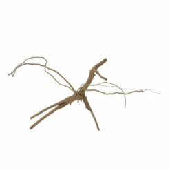 M Moorkienwurzel Nr.7338 Holz Deko Aquascaping