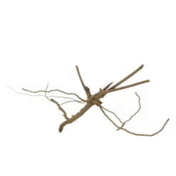 M Moorkienwurzel Nr.7338 Holz Deko Aquascaping -Haus Dekoration Verkaufsgeschäft M Moorkienwurzel Nr 7337 Holz Deko Aquascaping 7338 3 31079