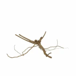 M Moorkienwurzel Nr.7338 Holz Deko Aquascaping -Haus Dekoration Verkaufsgeschäft M Moorkienwurzel Nr 7337 Holz Deko Aquascaping 7338 4 31079