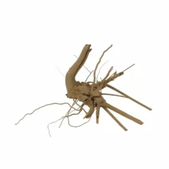 M Moorkienwurzel Nr.7340 Holz Deko Aquascaping -Haus Dekoration Verkaufsgeschäft M Moorkienwurzel Nr 7339 Holz Deko Aquascaping 7340 2 31081