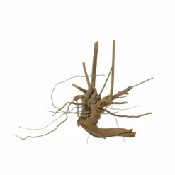 M Moorkienwurzel Nr.7340 Holz Deko Aquascaping -Haus Dekoration Verkaufsgeschäft M Moorkienwurzel Nr 7339 Holz Deko Aquascaping 7340 3 31081