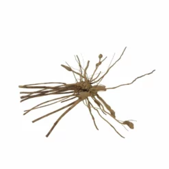 M Moorkienwurzel Nr.7341 Holz Deko Aquascaping -Haus Dekoration Verkaufsgeschäft M Moorkienwurzel Nr 7340 Holz Deko Aquascaping 7341 2 31082