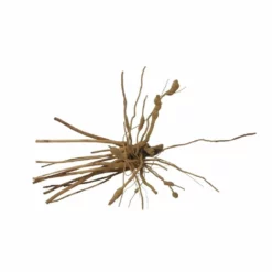 M Moorkienwurzel Nr.7341 Holz Deko Aquascaping -Haus Dekoration Verkaufsgeschäft M Moorkienwurzel Nr 7340 Holz Deko Aquascaping 7341 3 31082