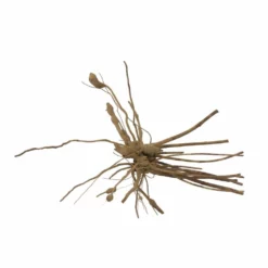 M Moorkienwurzel Nr.7341 Holz Deko Aquascaping -Haus Dekoration Verkaufsgeschäft M Moorkienwurzel Nr 7340 Holz Deko Aquascaping 7341 4 31082