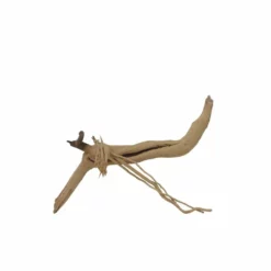 M Moorkienwurzel Nr.7342 Holz Deko Aquascaping -Haus Dekoration Verkaufsgeschäft M Moorkienwurzel Nr 7341 Holz Deko Aquascaping 7342 3 31083