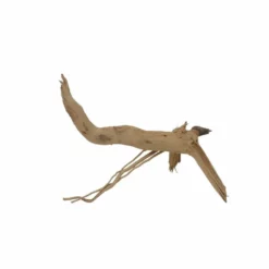 M Moorkienwurzel Nr.7342 Holz Deko Aquascaping -Haus Dekoration Verkaufsgeschäft M Moorkienwurzel Nr 7341 Holz Deko Aquascaping 7342 4 31083