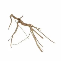 M Moorkienwurzel Nr.7343 Holz Deko Aquascaping -Haus Dekoration Verkaufsgeschäft M Moorkienwurzel Nr 7342 Holz Deko Aquascaping 7343 2 31084