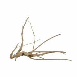 M Moorkienwurzel Nr.7343 Holz Deko Aquascaping -Haus Dekoration Verkaufsgeschäft M Moorkienwurzel Nr 7342 Holz Deko Aquascaping 7343 3 31084