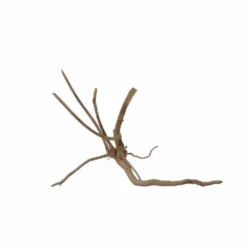 M Moorkienwurzel Nr.7346 Holz Deko Aquascaping -Haus Dekoration Verkaufsgeschäft M Moorkienwurzel Nr 7345 Holz Deko Aquascaping 7346 3 31087