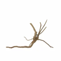 M Moorkienwurzel Nr.7346 Holz Deko Aquascaping -Haus Dekoration Verkaufsgeschäft M Moorkienwurzel Nr 7345 Holz Deko Aquascaping 7346 4 31087