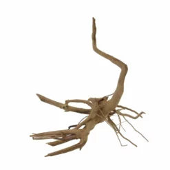 M Moorkienwurzel Nr.7347 Holz Deko Aquascaping -Haus Dekoration Verkaufsgeschäft M Moorkienwurzel Nr 7346 Holz Deko Aquascaping 7347 4 31088